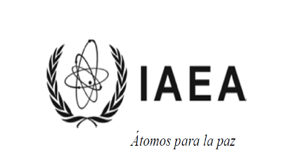 Reunión del OIEA sobre I+D (febrero 2015)