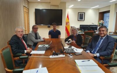 Actualización estrategia CEIDEN